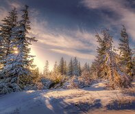 Czech Republic Krkonose N.P.