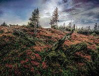 Czech Republic Krkonose N.P.