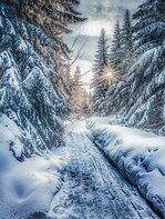 Czech Republic Krkonose N.P.