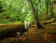 Czech Republic Upa river