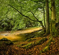 Czech Republic Upa river
