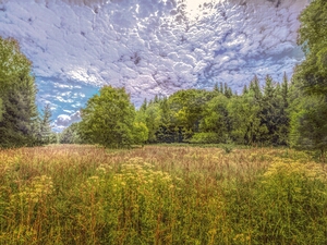 POLAND
