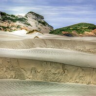 New_Zealand-021 New Zealand - Tasman sea shore dunes