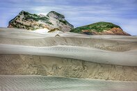 New Zealand Tasman sea shore dunes
